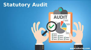 Statutory Audit & Tax Audit